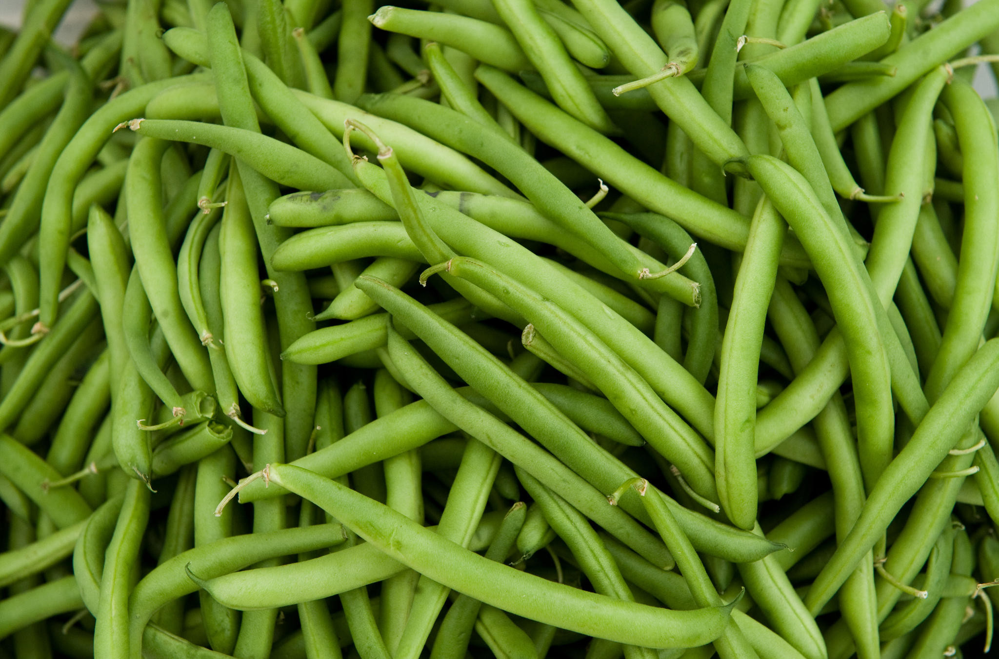 Beans